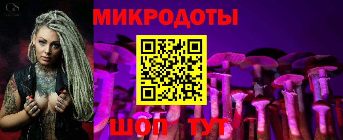 Псилоцибиновые грибы прущие грибы Кушва